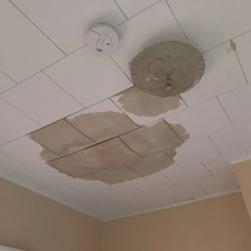 Ceiling Water Damage Repair in Springville, IA