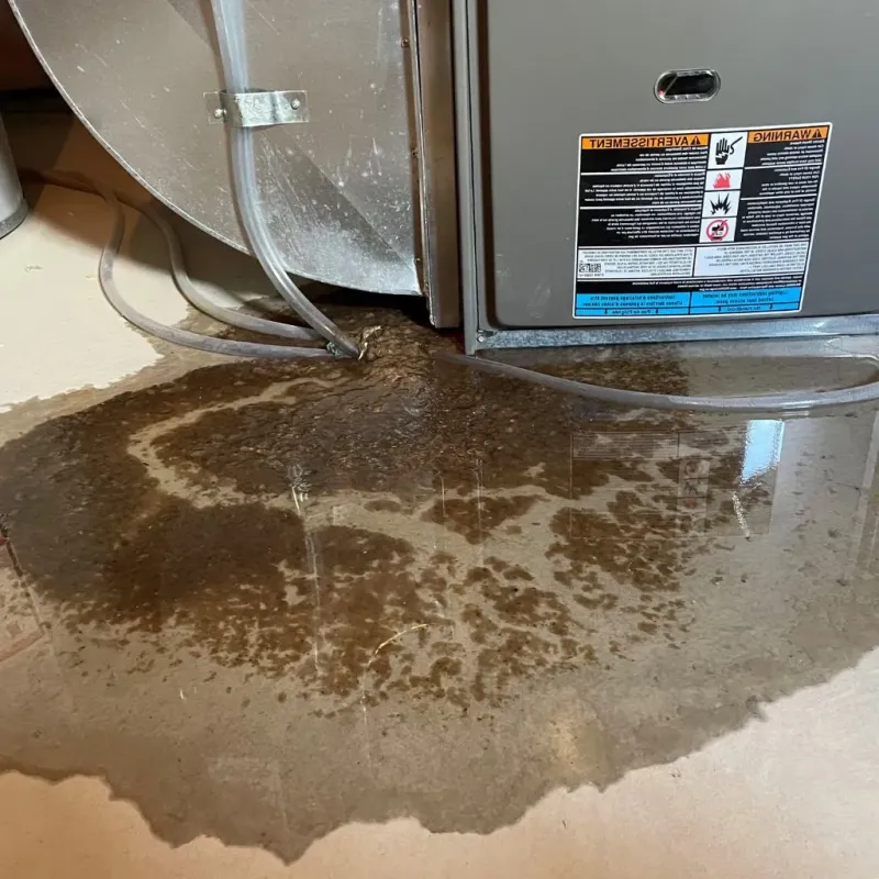 Pipe Burst and Leak Restoration in Springville, IA