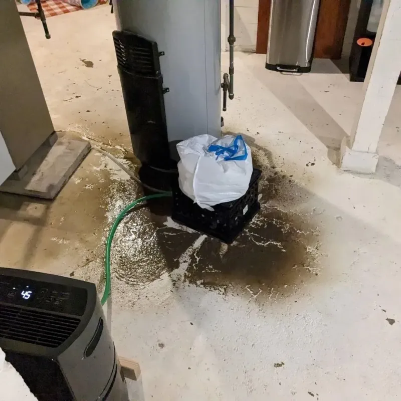 Sewage Backup Cleanup Service in Springville, IA
